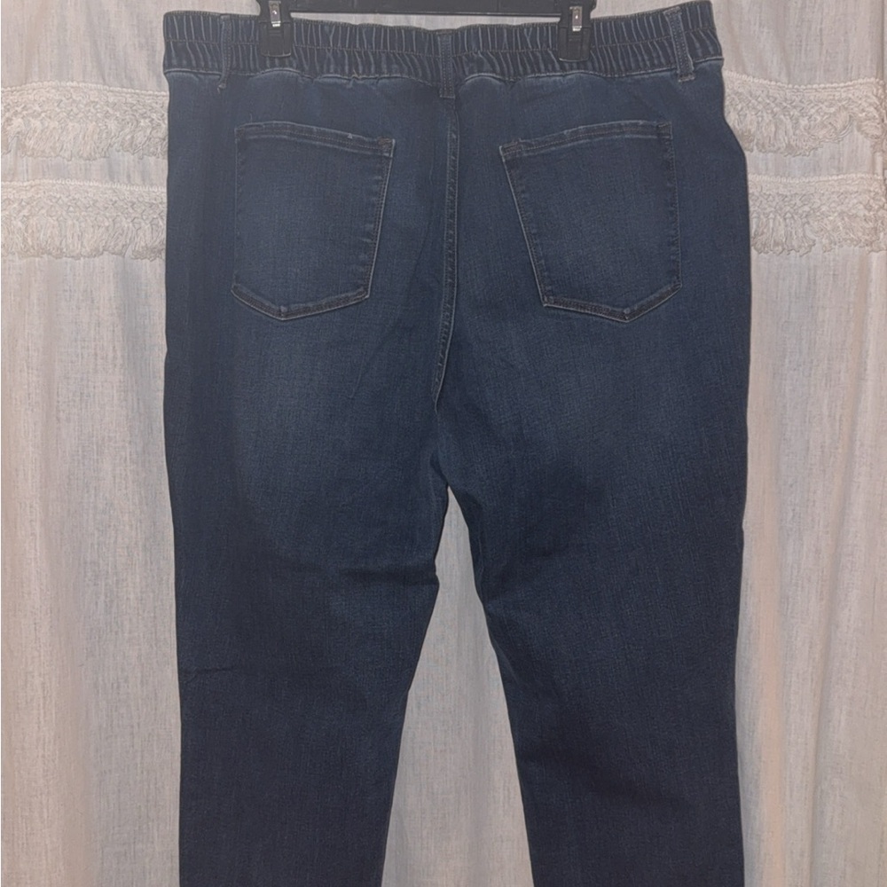 Terra & Sky Skinny Jeans in Dark Indigo Wash - Picture 2 of 3